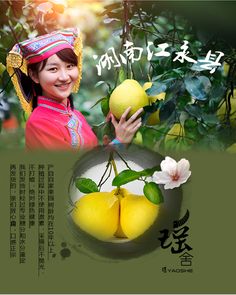 江永特产 江永香柚 30年老树柚子5个约12斤包邮
