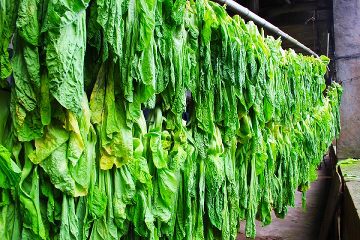 湘阴特产 农家自制脱水蔬菜 南湖干菜系列单袋500g 1500g礼盒装发货