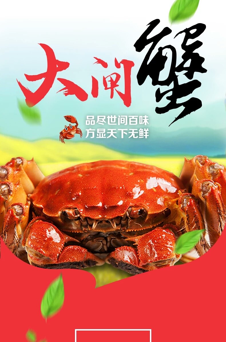 女山湖大闸蟹二母三公八只礼盒装_我连网