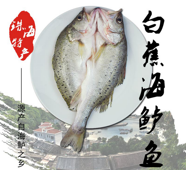 【湘阴我连】白蕉海鲈鱼