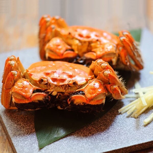 女山湖大闸蟹精品礼盒十只装_我连网