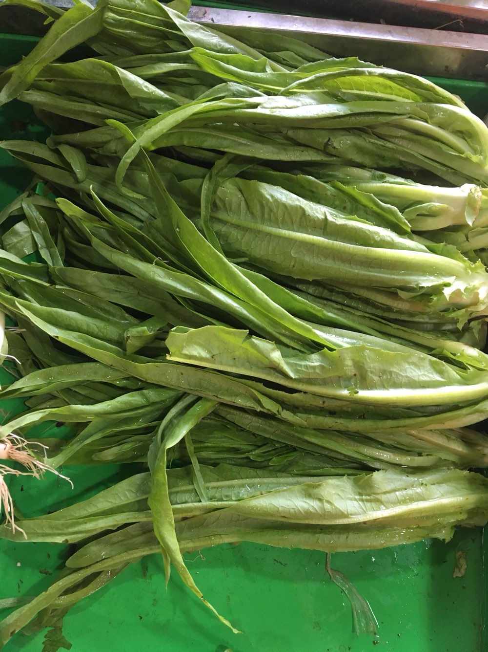 新鲜油麦菜 商品简介 生食蔬菜中的上品,有蔬菜