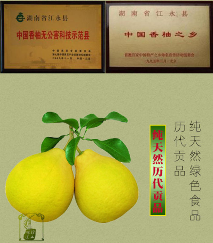 江永特产 江永香柚 30年老树柚子5个约12斤包邮