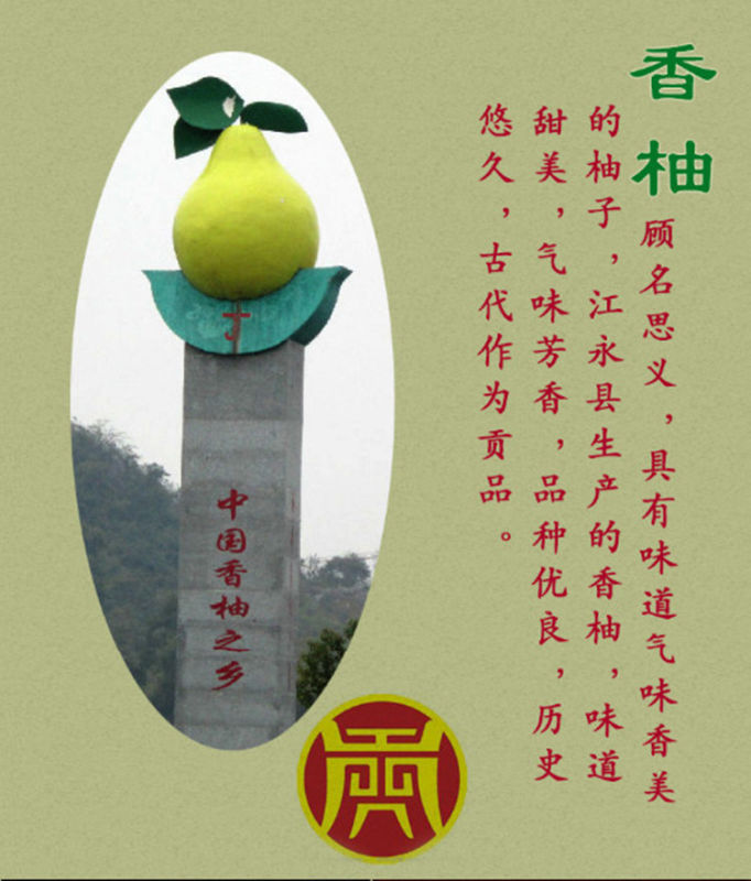 中国香柚之乡江永县图片