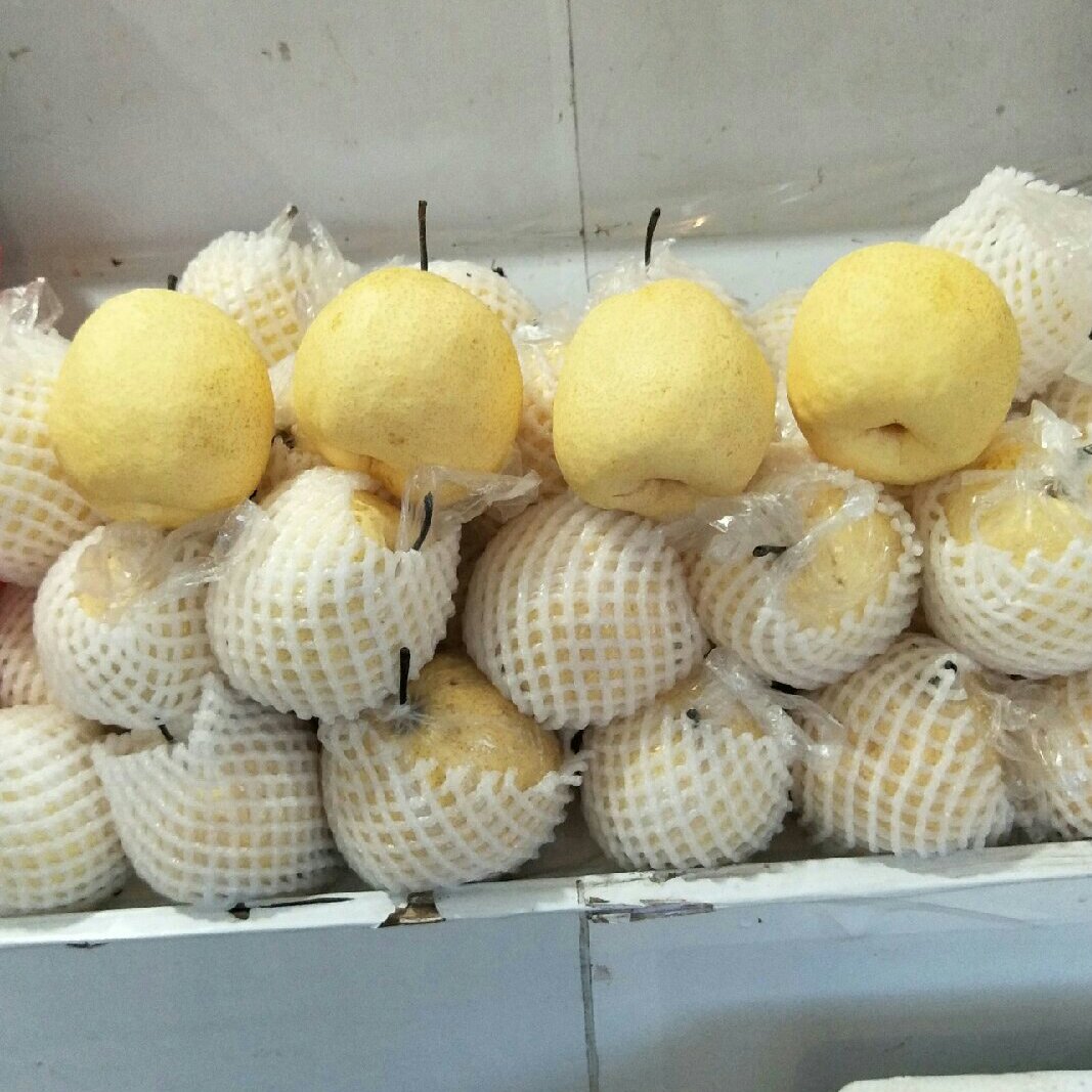 贡梨汁,梨汁,安梨汁(第5页)_大山谷图库