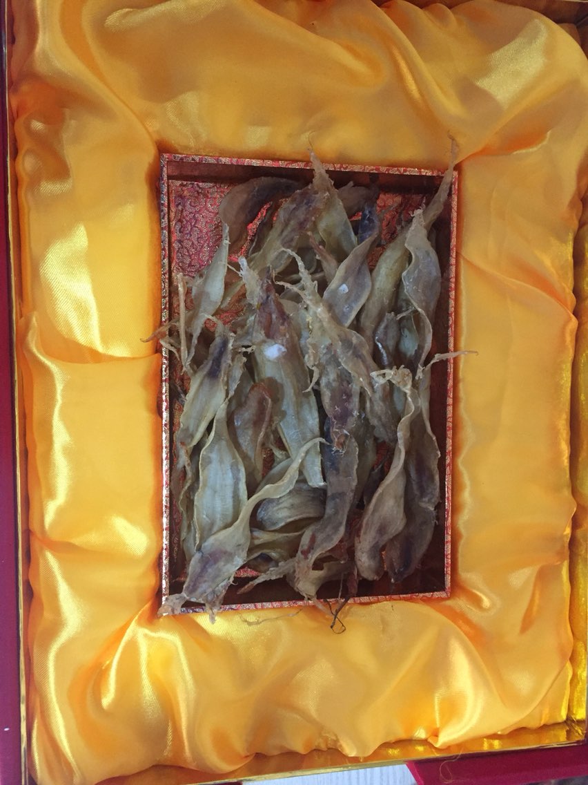 野生名贵鱼胶(200克)