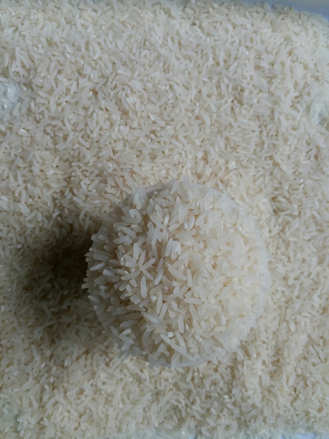 农户自己种植的好米:川优6203,好吃,可口,不打蜡,香而不糯