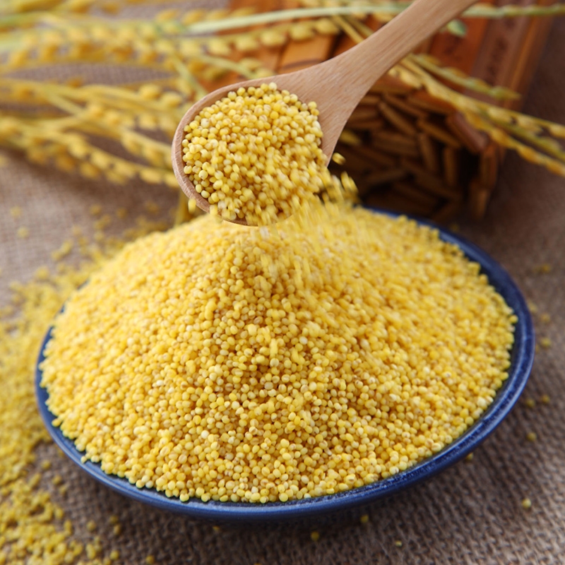 天地粮人有机黄小米1250g