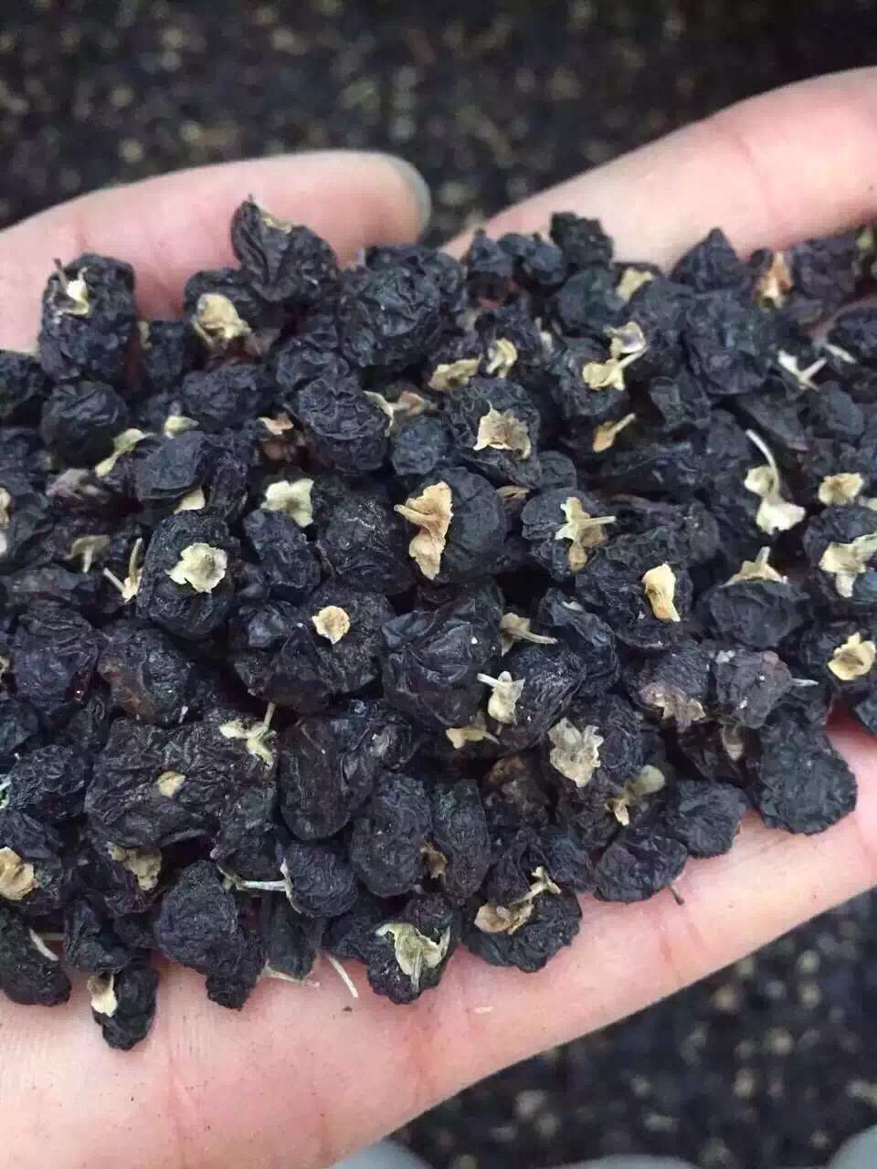 野生黑枸杞_我连网